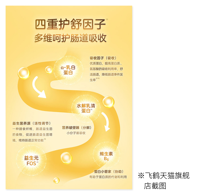 飛鶴星飛帆