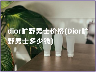 dior曠野男士價格(Dior曠野男士多少錢)