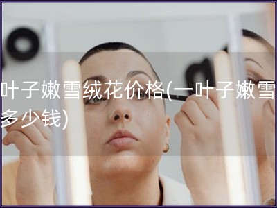 一葉子嫩雪絨花價(jià)格(一葉子嫩雪絨花多少錢)