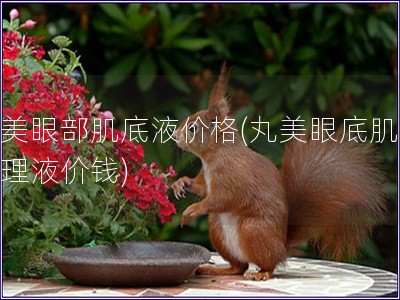 丸美眼部肌底液價格(丸美眼底肌膚護理液價錢)