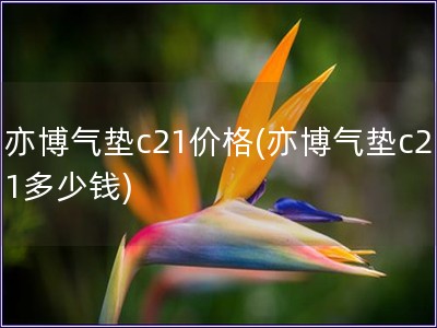 亦博氣墊c21價格(亦博氣墊c21多少錢)