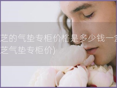 蘭芝的氣墊專柜價(jià)格是多少錢一盒(蘭芝氣墊專柜價(jià))