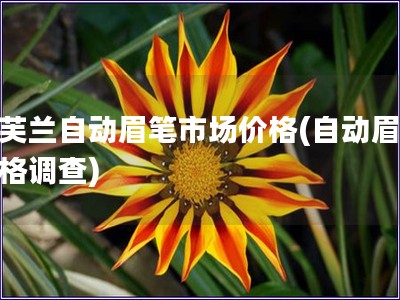 凱芙蘭自動眉筆市場價格(自動眉筆價格調查)