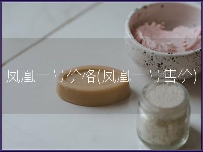 鳳凰一號價格(鳳凰一號售價)