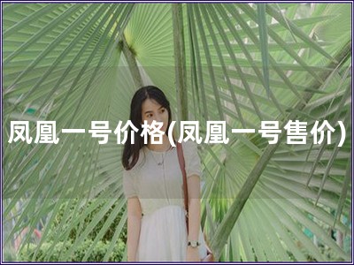 鳳凰一號價格(鳳凰一號售價)