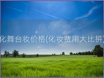 化舞臺妝價(jià)格(化妝費(fèi)用大比拼)