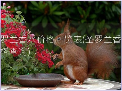 圣羅蘭香水價(jià)格一覽表(圣羅蘭香水價(jià)格查詢)