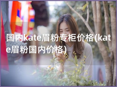 國內(nèi)kate眉粉專柜價(jià)格(kate眉粉國內(nèi)價(jià)格)