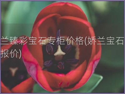 嬌蘭臻彩寶石專柜價格(嬌蘭寶石專柜報價)