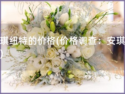 安琪紐特的價格(價格調(diào)查：安琪紐特)
