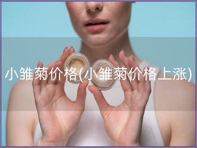 小雛菊價格(小雛菊價格上漲)