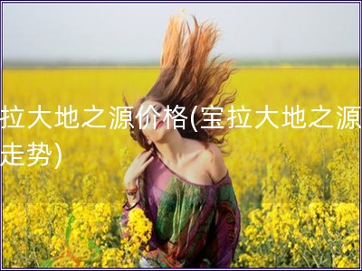寶拉大地之源價格(寶拉大地之源價格走勢)