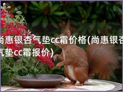 尚惠銀杏氣墊cc霜價格(尚惠銀杏氣墊cc霜報價)