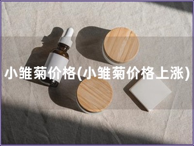 小雛菊價格(小雛菊價格上漲)