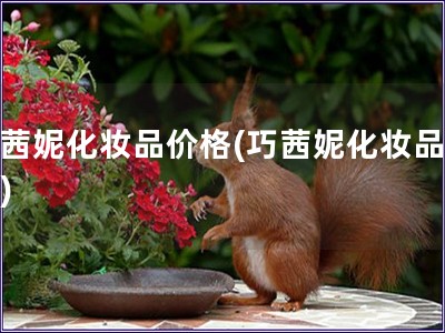 巧茜妮化妝品價(jià)格(巧茜妮化妝品報(bào)價(jià))