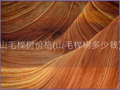 山毛櫸樹價格(山毛櫸樹多少錢)