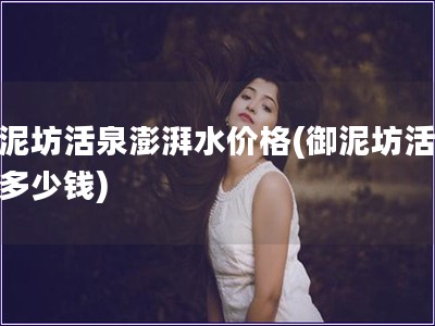 御泥坊活泉澎湃水價(jià)格(御泥坊活泉水多少錢)