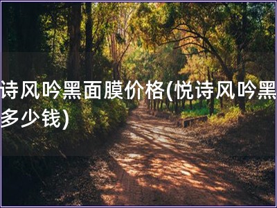 悅詩風吟黑面膜價格(悅詩風吟黑面膜多少錢)