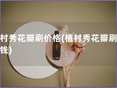 植村秀花瓣刷價格(植村秀花瓣刷多少錢)