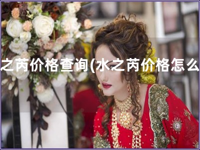 水之芮價格查詢(水之芮價格怎么查)