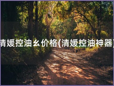 清媛控油ㄠ價格(清媛控油神器)