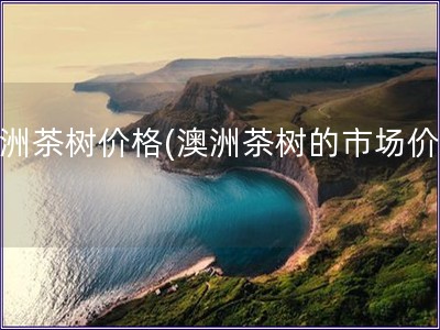 澳洲茶樹價格(澳洲茶樹的市場價格)