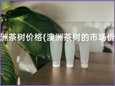 澳洲茶樹價格(澳洲茶樹的市場價格)