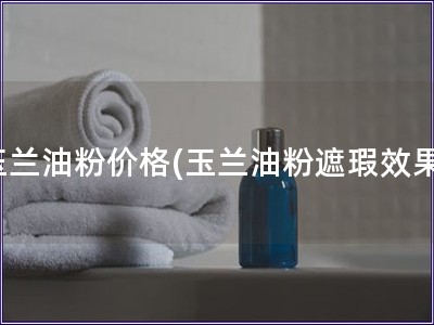 玉蘭油粉價格(玉蘭油粉遮瑕效果)