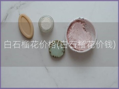 白石榴花價格(白石榴花價錢)