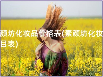 素顏坊化妝品價格表(素顏坊化妝品價目表)