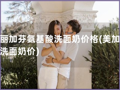 美麗加芬氨基酸洗面奶價格(美加氨酸洗面奶價)