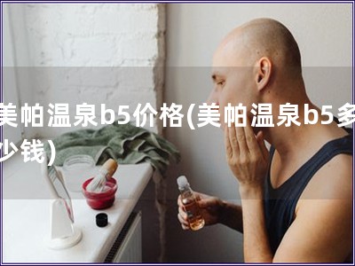 美帕溫泉b5價格(美帕溫泉b5多少錢)