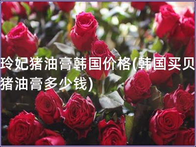 貝玲妃豬油膏韓國價格(韓國買貝玲妃豬油膏多少錢)