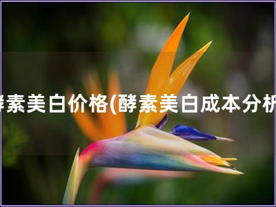 酵素美白價格(酵素美白成本分析)