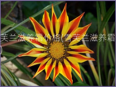 雪芙蘭滋養(yǎng)霜價(jià)格(雪芙蘭滋養(yǎng)霜多貴)