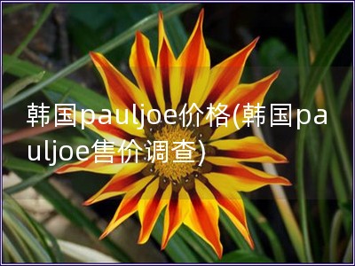 韓國(guó)pauljoe價(jià)格(韓國(guó)pauljoe售價(jià)調(diào)查)