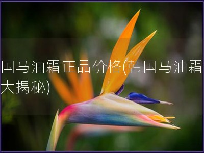 韓國(guó)馬油霜正品價(jià)格(韓國(guó)馬油霜價(jià)格大揭秘)