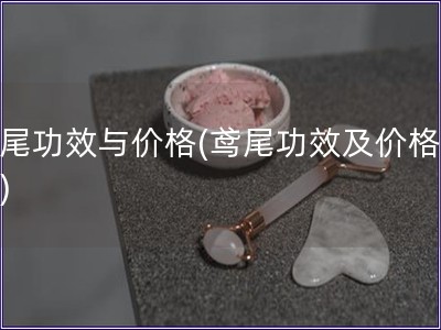 鳶尾功效與價格(鳶尾功效及價格分析)