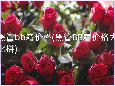 黑管bb霜價格(黑管BB霜價格大比拼)